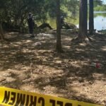 ¿Pudo un cocodrilo atacar a una niña en Petén? Investigan restos humanos y lanzan alerta
