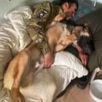 En busca de ‘Josy’, el perro de un soldado español muerto en Ucrania