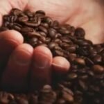 Alza del café amortigua efecto de arancel en exportaciones guatemaltecas, pero podría impactar próxima cosecha