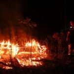 El gran incendio del sur de Francia sigue activo, pero se ha contenido su avance
