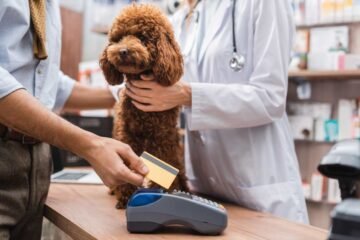 ¿Quiere tener un perro o gato? Conozca cuáles son los gastos para su manutención