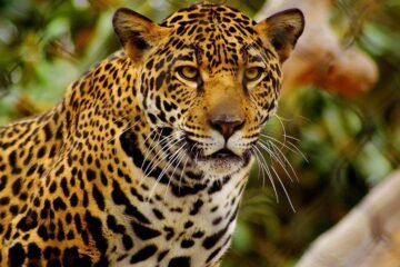 EFEMÉRIDES: Los hechos ocurridos el 29 de noviembre a lo largo de la historia 