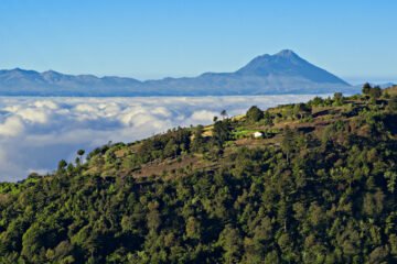 EFEMÉRIDES: Los hechos ocurridos el 11 de diciembre en la historia