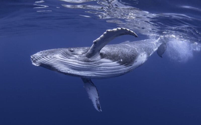 EFEMÉRIDES: Los hechos ocurridos en la historia un 16 de febrero 