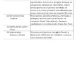 Vínculos políticos y falta de idoneidad, principales objeciones en contra de varios candidatos al TSE