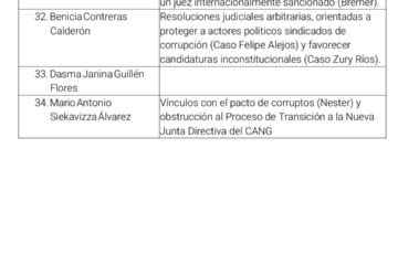 Vínculos políticos y falta de idoneidad, principales objeciones en contra de varios candidatos al TSE