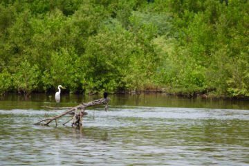 EFEMÉRIDES: Los hechos ocurridos en la historia un 2 de febrero 