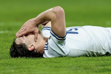 Suecia, Turquía, R. Checa y Bosnia Herzegovina al Mundial; enorme fracaso de Italia