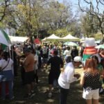 Festival de Mango reúne a familias y expone un crecimiento en las exportaciones de la fruta nacional