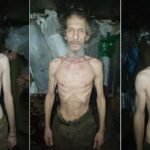 Sobrevivir durante meses en una trinchera: la falta de reemplazos lleva al límite a la infantería ucrania