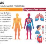 Hantavirus: síntomas, formas de contagio y qué tan expuesta está Guatemala, según infectóloga