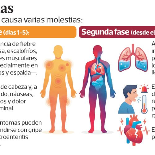 Hantavirus: síntomas, formas de contagio y qué tan expuesta está Guatemala, según infectóloga