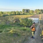 Los drones rusos espolean el miedo en los pueblos fronterizos de Rumania: “Vivimos con la guerra sobre nuestras cabezas”