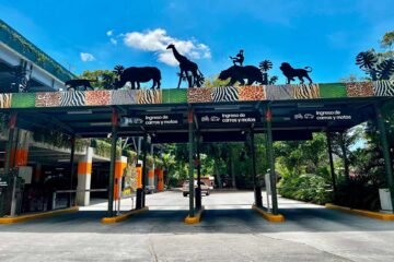 Amplía la capacidad de parqueo dentro de sus instalaciones