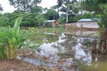 Lluvias elevan la saturación del suelo en 11 municipios mientras cuatro ríos superan el nivel de alerta