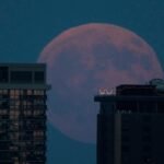 El eclipse parcial de Luna, en imágenes