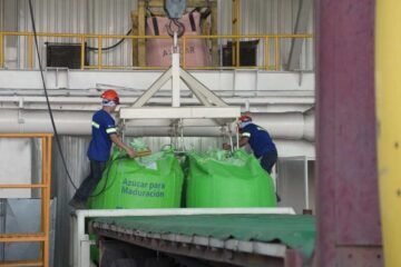 Banguat eleva a 4.3% previsión de crecimiento económico de Guatemala para el 2026