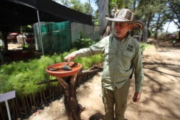 Corredor Verde: la carretera que unirá el Periférico y San Cristóbal también busca integrar la naturaleza